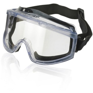Beeswift BBCFG Comfort Fit Goggles Clear